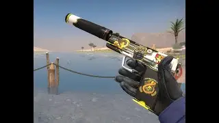 USP-S / Torque CS:GO