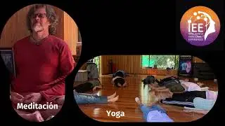 Diplomatura en Inteligencia Emocional y Consciencia Corporal