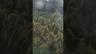 1 minute of rain and wind