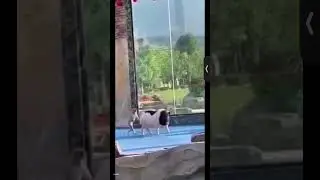 Смешно