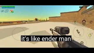 new glitch in chicken gun
