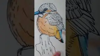 Птичка Калибры #art #карандаш #птицы #калибры #макер #животных