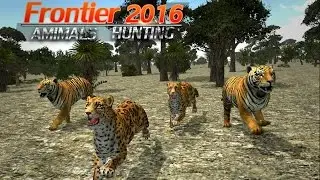 Wild Tiger Survival Simulator (by bjpagare ) Android Gameplay [HD] - Frontier animal tiger hunting