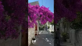 Бодрум - греческий курорт Турции