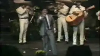 Juan Gabriel - Te Voy a Olvidar