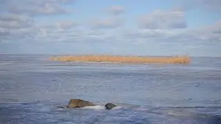 Залив