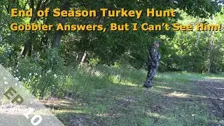 End of Season Turkey Hunt   Gobbler Answers, But I Can't See Him!