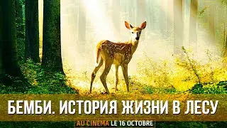 Бемби. История жизни в лесу (2024) Семейный, приключения | Русский трейлер фильма