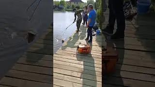 безлимит Карпа