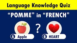 🔴Language Knowledge Test