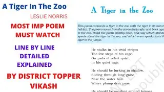 A Tiger In The Zoo Class 10 । Detailed Explanation In Hindi