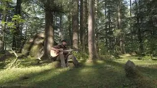 Blinding Lights - in Fairy Forest - Live recording