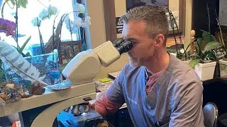 Chapter 12 Dr Ryan Cole audio sample: Observation as Misinformation