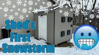 First Snow for the Crypto Mining Shed - How Did it Do?