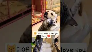 ❤️How to Deal With an Angry Partner❤️ 