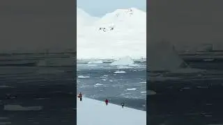 An expedition to planet Earth…literally! #antarctica #travel #vlog #adventure