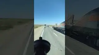 18 августа 2024 г.