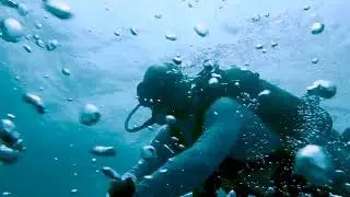 Submerged Secrets: Diving Hog Heaven's Sunken Barge in Fort Lauderdale
