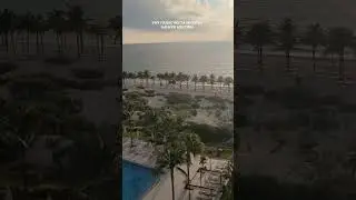 Пока гости отеля спят, трактор убирает водоросли с пляжа.