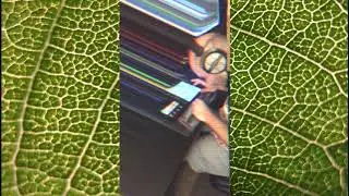 AMBIENT DRONE MUSIC IMPROV ON NATIVE INSTRUMENTS MASCHINE #6