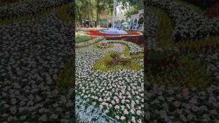 АНА БУМАСАМ