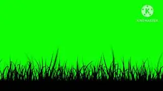 GRASS green screen | no copyright | 100% copyright FREE GREEN SCREEN
