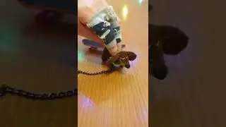 The guy on the finger board saved the dachshund. #shorts #shortsvideo