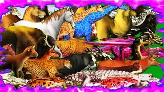 Green Screen Animals Stampede Running Walking Green Screen Blue Screen Black Screen HD Video