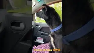 Первый раз в машине🚘