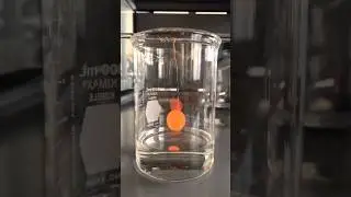 A Weird Thing that Pennies Do with Acetone