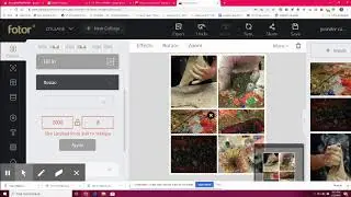 How to use Fotor