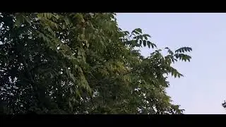 ТРИ ПОКОЛЕНИТО,ВСЕ У НИХ СКРЫТО🤣О ЧЕМ,ГДЕ И ШО Я ТАК И НЕ ПОНЯЛА🤣ОБЗОР