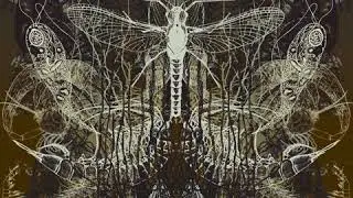 Architects - Ruin [Full Album]