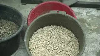 Pellets for Calves. GM-180 5.5 kW Feed Pellet Mill.