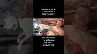 Мем номер 332