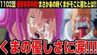 【ワンピース1102話初見読み反応】衝撃事実判明!!まさかあの時くまが全て見ていたとは！くまの優しさに涙腺崩壊‥くまの悪魔の実の能力が最強すぎる理由【ワンピースネタバレ】