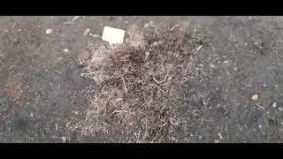 #хосты