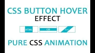 CSS Buttons with Hover Animation Effect using HTML & CSS