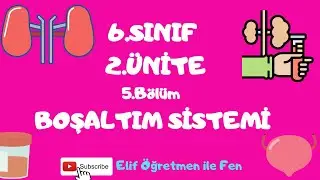 6.SINIF 2.ÜNİTE 5.BÖLÜM BOŞALTIM SİSTEMİ