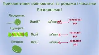 Рід і число прикметників
