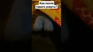 После такого я никогда не высовываю ноги ночью из под одеяла...