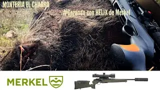 MERKEL HELIX 