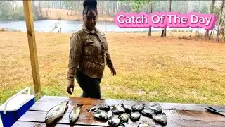 Catch Of The Day - Bass & Bluegill