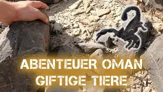 Letzter Tag mit giftigen Tieren - Oman Urlaub | Folge 6