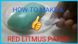 Make your own red litmus paper|how to make red litmus paper very easy