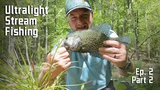 Ultralight Fishing (Ep. 2 - Pt. 2) - Peaceful Stream | 70 dinks and slabs!