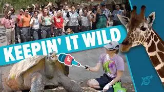 Your City in 5: Keepin' It Wild