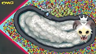 snake.io🐍Impostor snake skin🐍Impostor snake party,Zero to Hero gameplay Snake Struggle