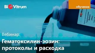 Гематоксилин-эозин: протоколы и расходка