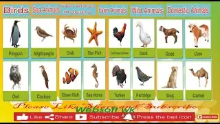 Learn Birds Names | Wild Animals | Domestic Animals | Farm Animals | Sea Animals In English |